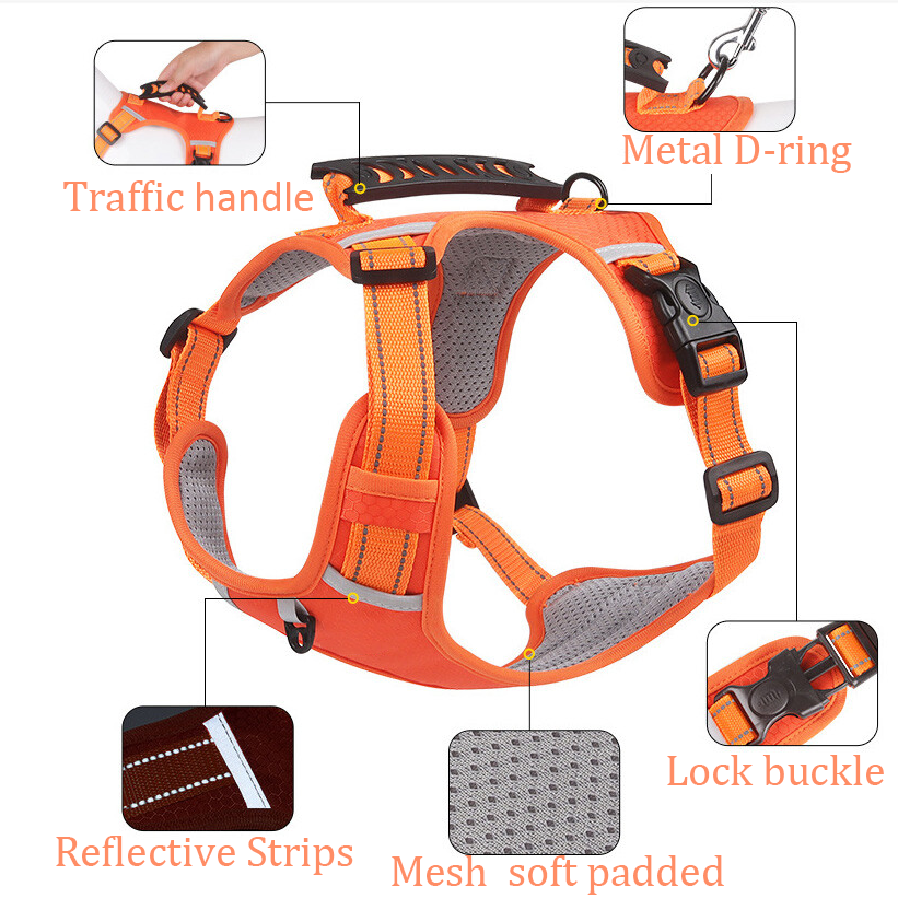 Anti-lost Pet Dog Cat Harness Reflective Set Elastic Bungee Dog Leash Lockable Buckle Car Seatbelt Buckle with Personalized ID Airtag Waterproof Holder