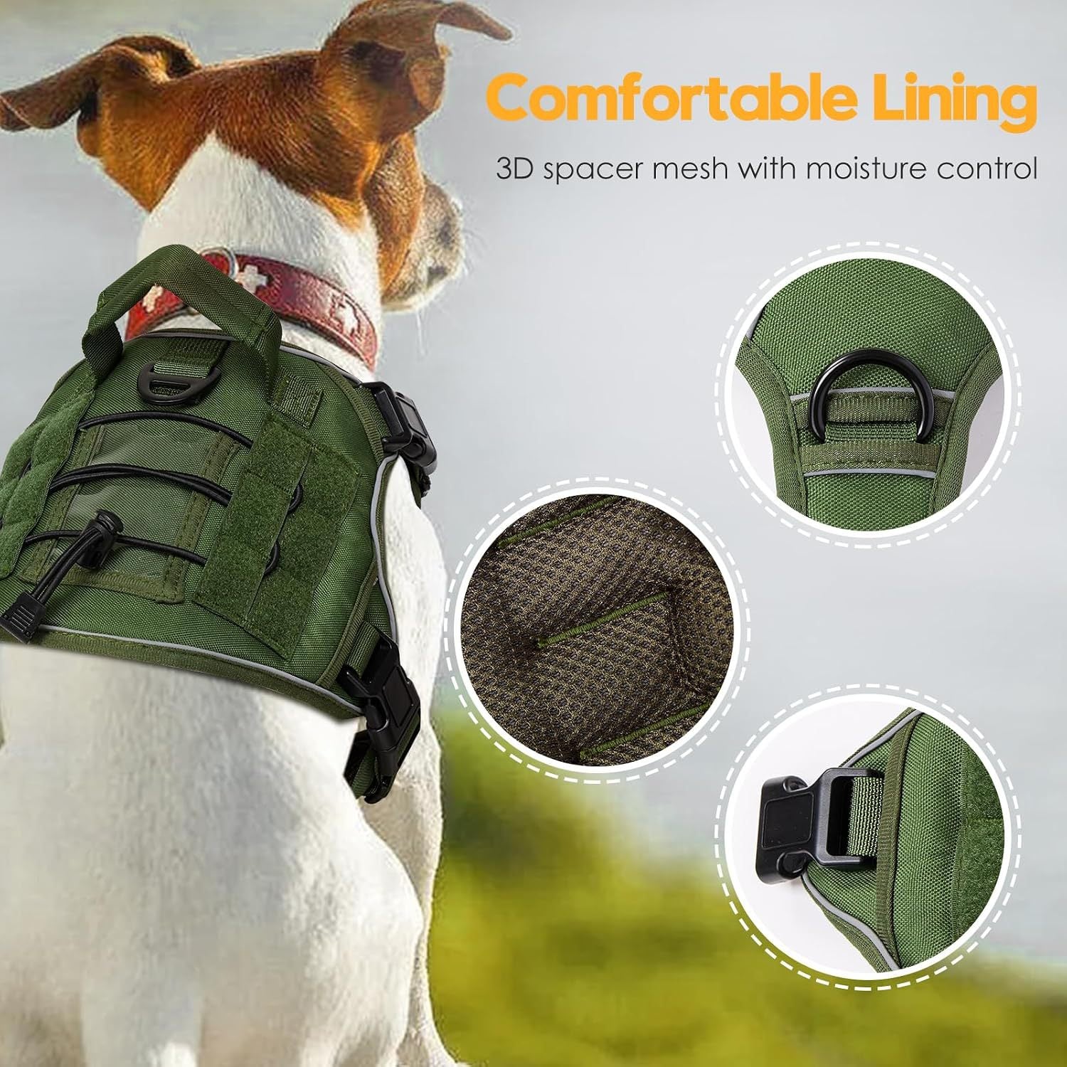 Dog harness