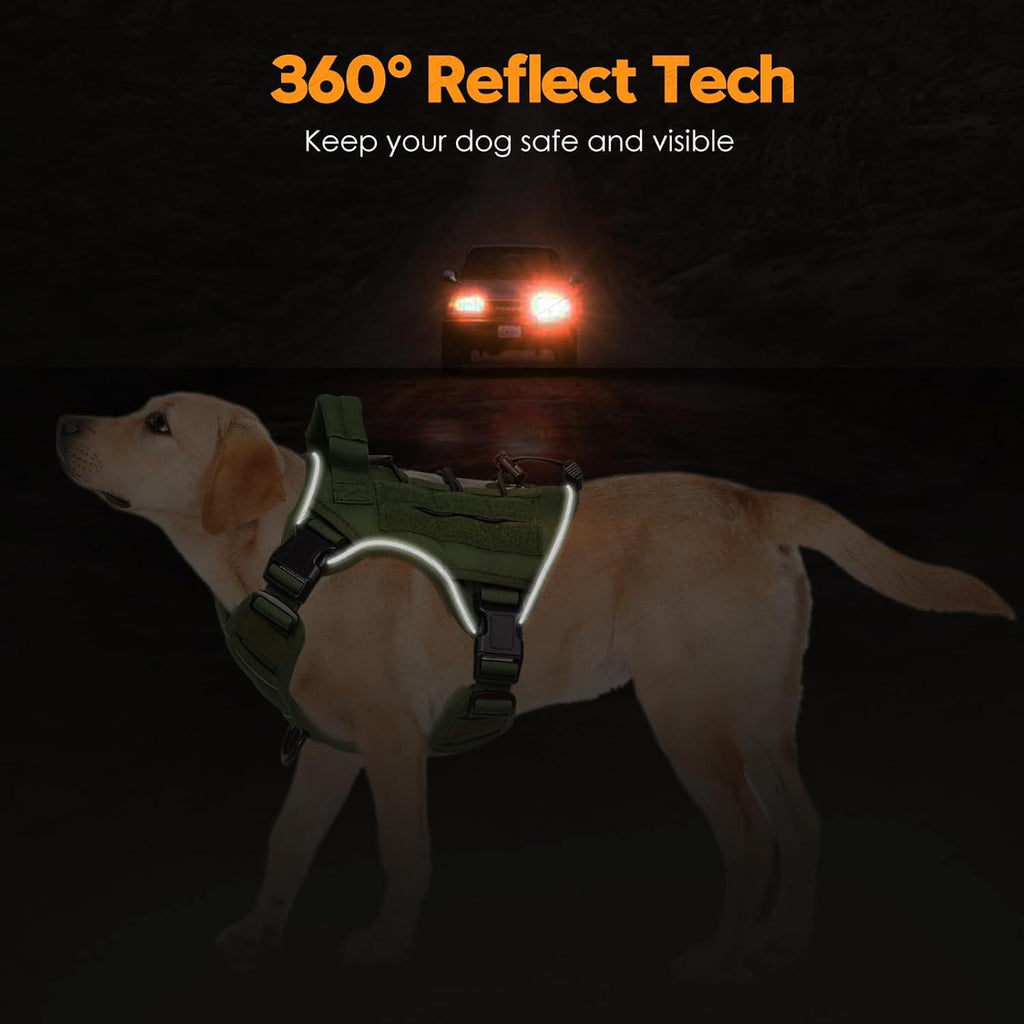 Dog harness