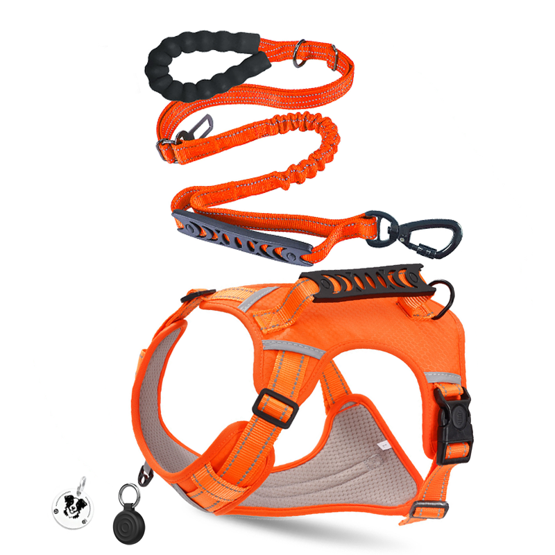Anti-lost Pet Dog Cat Harness Reflective Set Elastic Bungee Dog Leash Lockable Buckle Car Seatbelt Buckle with Personalized ID Airtag Waterproof Holder