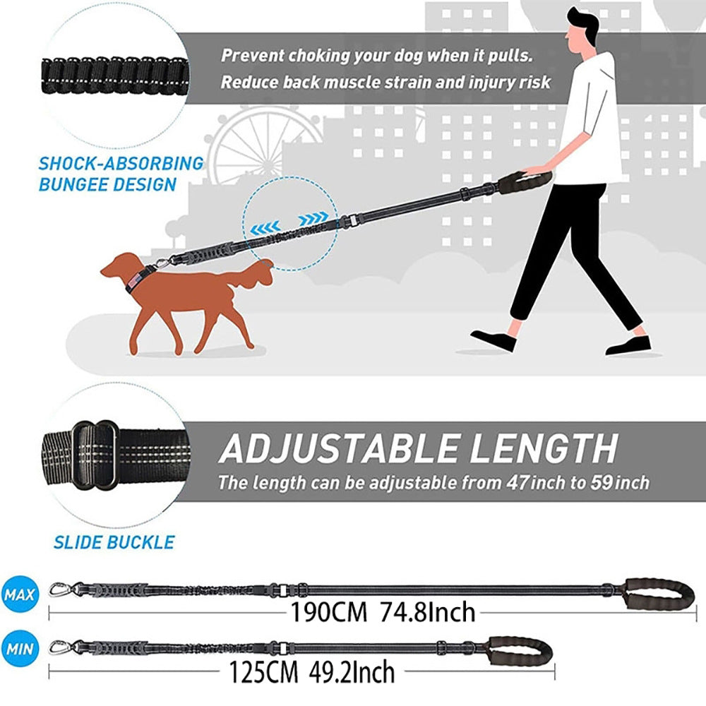 Anti-lost Pet Dog Cat Harness Reflective Set Elastic Bungee Dog Leash Lockable Buckle Car Seatbelt Buckle with Personalized ID Airtag Waterproof Holder