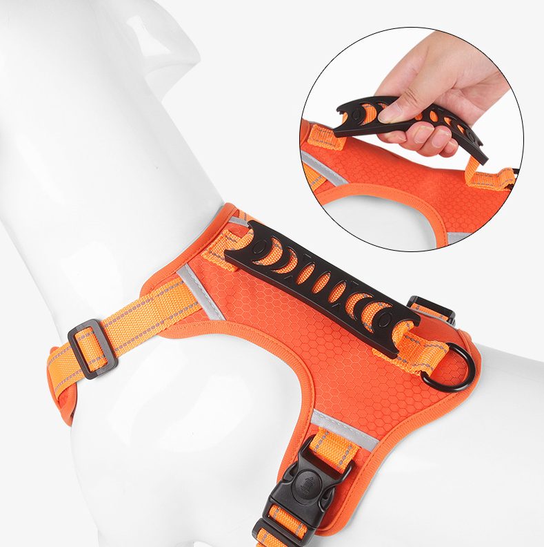 Anti-lost Pet Dog Cat Harness Reflective Set Elastic Bungee Dog Leash Lockable Buckle Car Seatbelt Buckle with Personalized ID Airtag Waterproof Holder