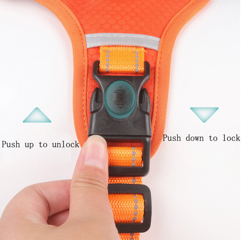 Anti-lost Pet Dog Cat Harness Reflective Set Elastic Bungee Dog Leash Lockable Buckle Car Seatbelt Buckle with Personalized ID Airtag Waterproof Holder